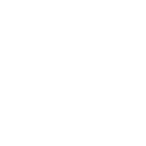 ico_youtube